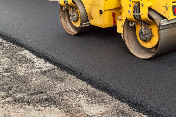 Best Best Driveway Pavers  in Warm Mineral Springs, FL